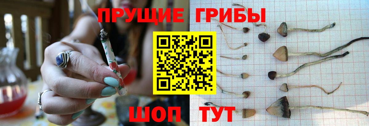 Нефтеюганск  Галлюциногенные грибы Magic Shrooms  Вход с VPN 